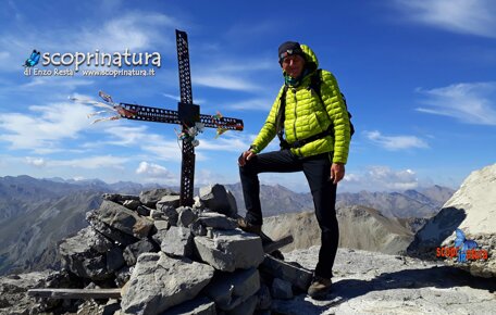 e918959c-7f7d-4275-b449-e0d5e708a3e1