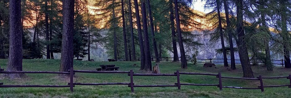 e3f5f23d-fe86-480d-8264-e04d73a76b91