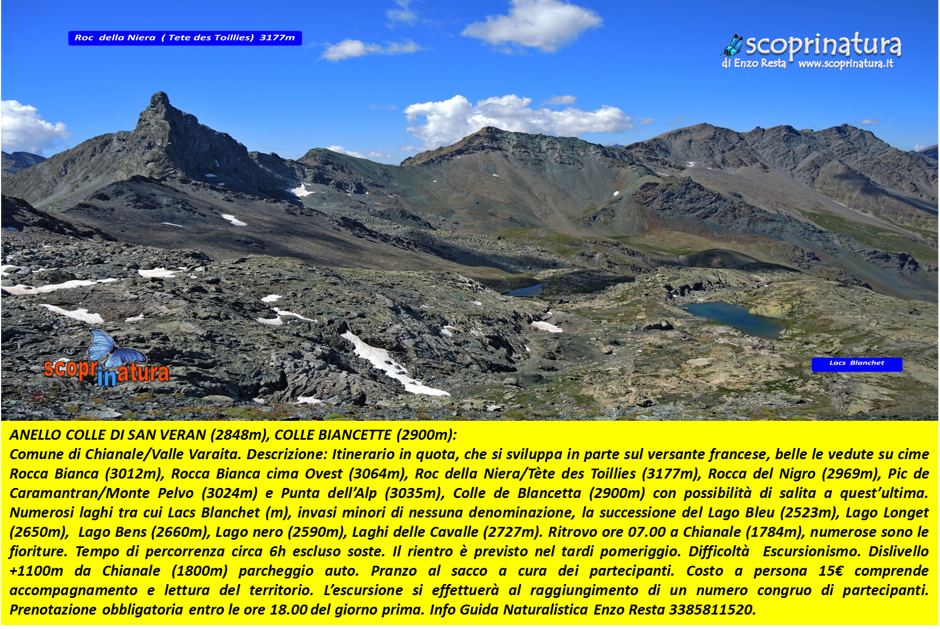 a730a4e0-3af5-4aca-97b1-c06db0eb5e64