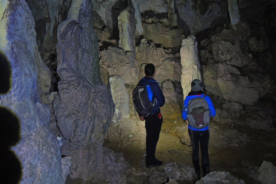 ec8e0576-374b-4a7d-b423-1ebcdcbcdbc2