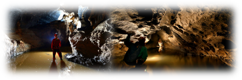 58c7a5c4-c2dc-4e2e-8c8c-598ac144a5b3