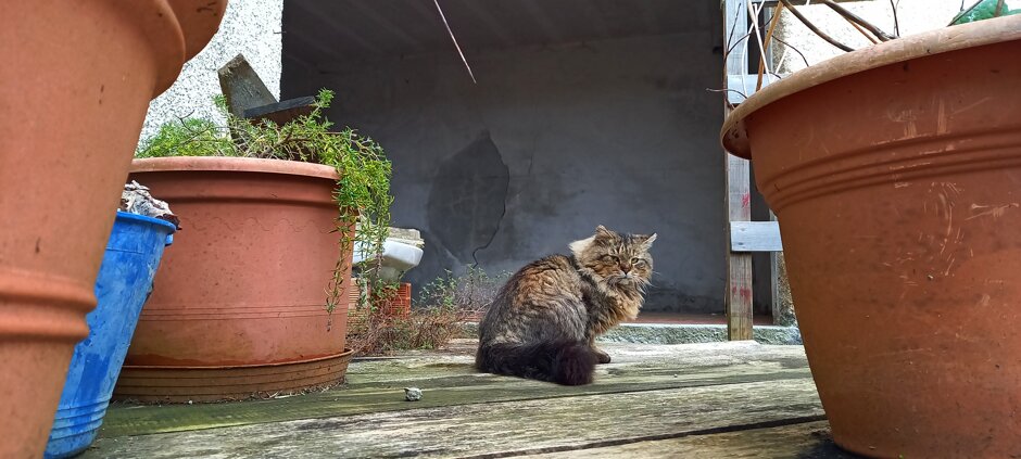 9ba23b07-380c-4829-9fa1-5f7281c16806 9ba23b07-380c-4829-9fa1-5f7281c16806