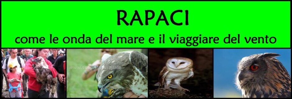 e1d88772-045e-46ec-b4ac-f068d23aaa34 e1d88772-045e-46ec-b4ac-f068d23aaa34