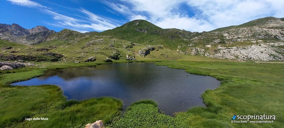 28dafeb2-19d2-4a4a-9603-5c2e0bf79474