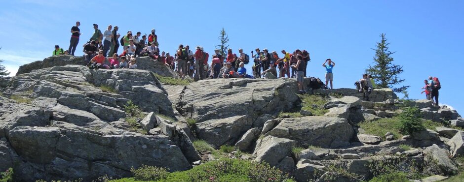 6893b1d3-e84e-4d67-b2dd-2d811c16d3c0