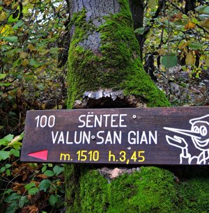 Palino per Sentiero Valun San Gian