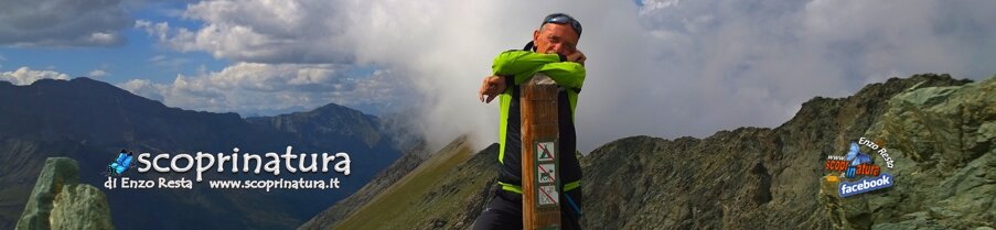 10c44486-0ce1-4d8f-b6ab-7c32bec5930a