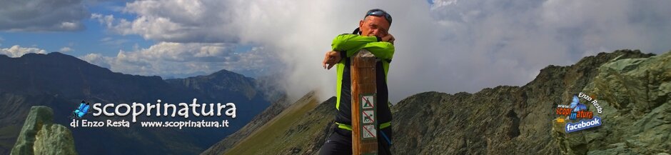 10c44486-0ce1-4d8f-b6ab-7c32bec5930a