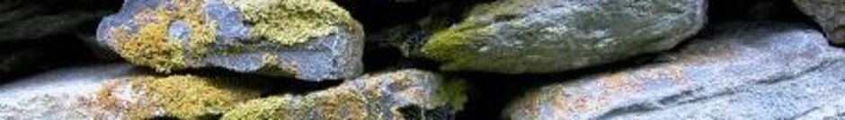 e1fcbadb-b356-4e2a-86f0-aa4b25e5c843 e1fcbadb-b356-4e2a-86f0-aa4b25e5c843