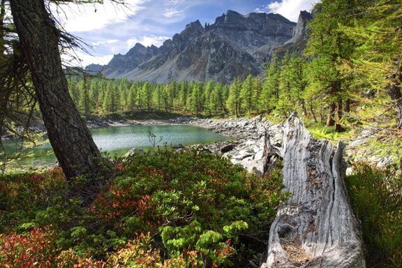 0d908c05-ae63-4676-bad1-0f73748dda52