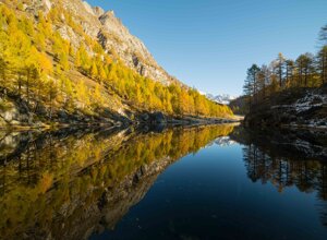 30968_f73126953af427c98d6a001a9f7a0ab221317a7c