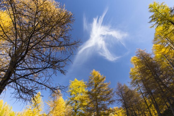 fe5c35de-443b-49ec-b35d-c2e7c96b5a8f