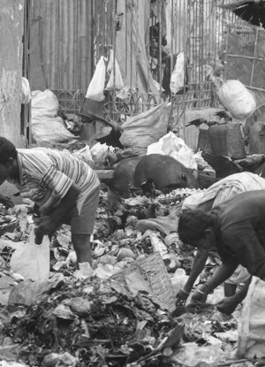 11f59513-af95-4066-8d29-c7ba5e460f07