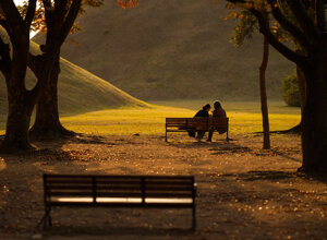 3041cf96-be5e-494a-af77-3fd135a0a25f