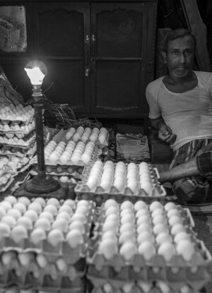 733c4b58-fbe7-4e3d-9558-4a97bd46f833