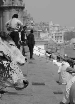 706e0084-871a-4a43-98ef-30d7145610d9