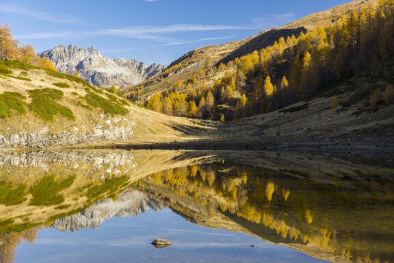 bc6e3e26-235b-4fda-a38a-6e83edbcc84f