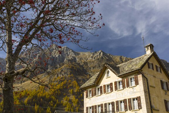 0ae54ebc-775d-4788-8029-b44383d97dca