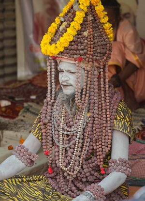 0493a6e9-65db-48ca-8482-5594aa9c60c6