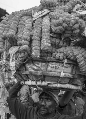 5a595f2f-cafd-47c1-99b2-38888f5b2bcd