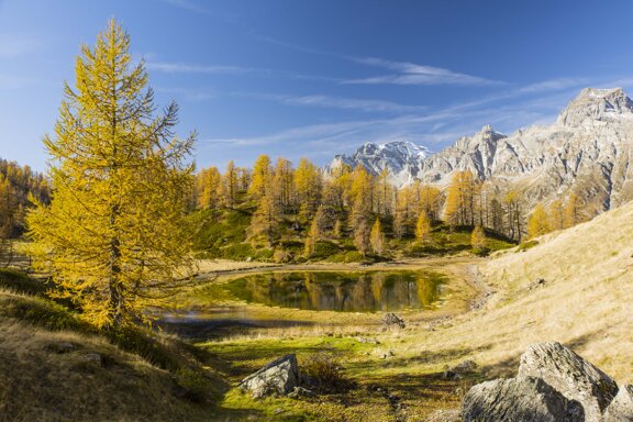 39791b9b-29c3-4f5e-8040-0ca3dc4f0c80