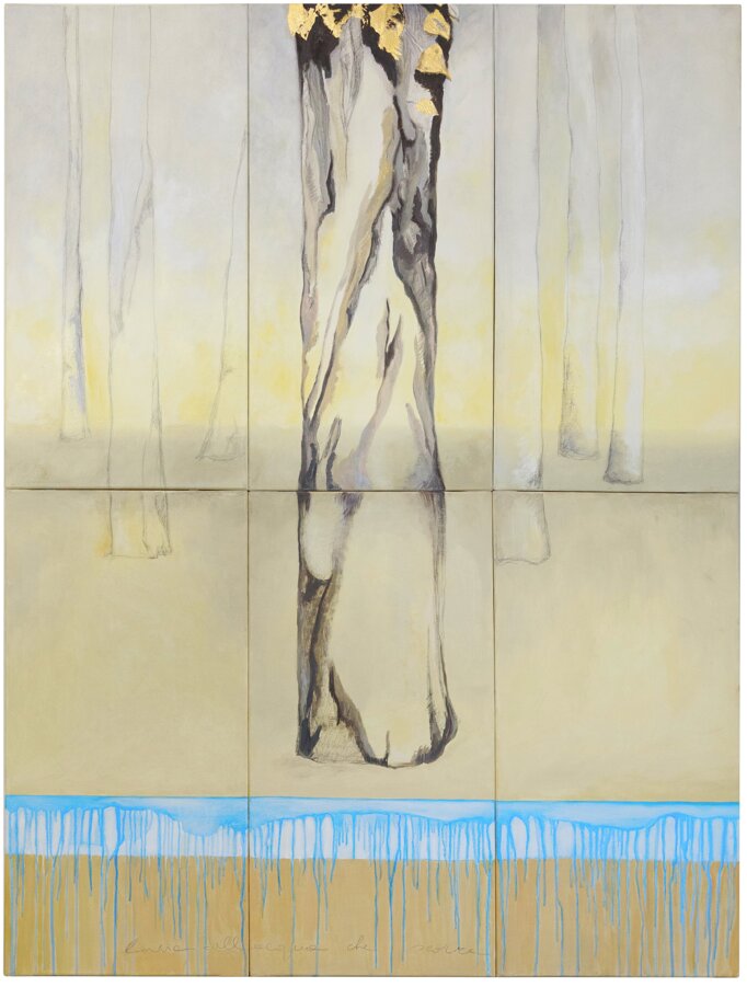 b6d67960-3925-46eb-919f-a4988efcfa97