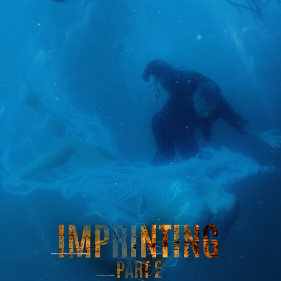 103ceb99-a4f2-47b1-9768-59b24df11a93