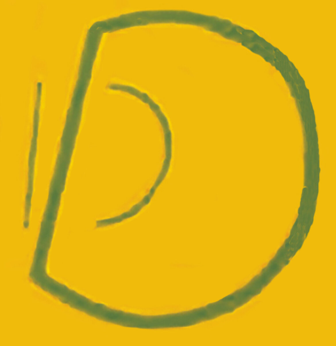 6 - parete.jpeg
