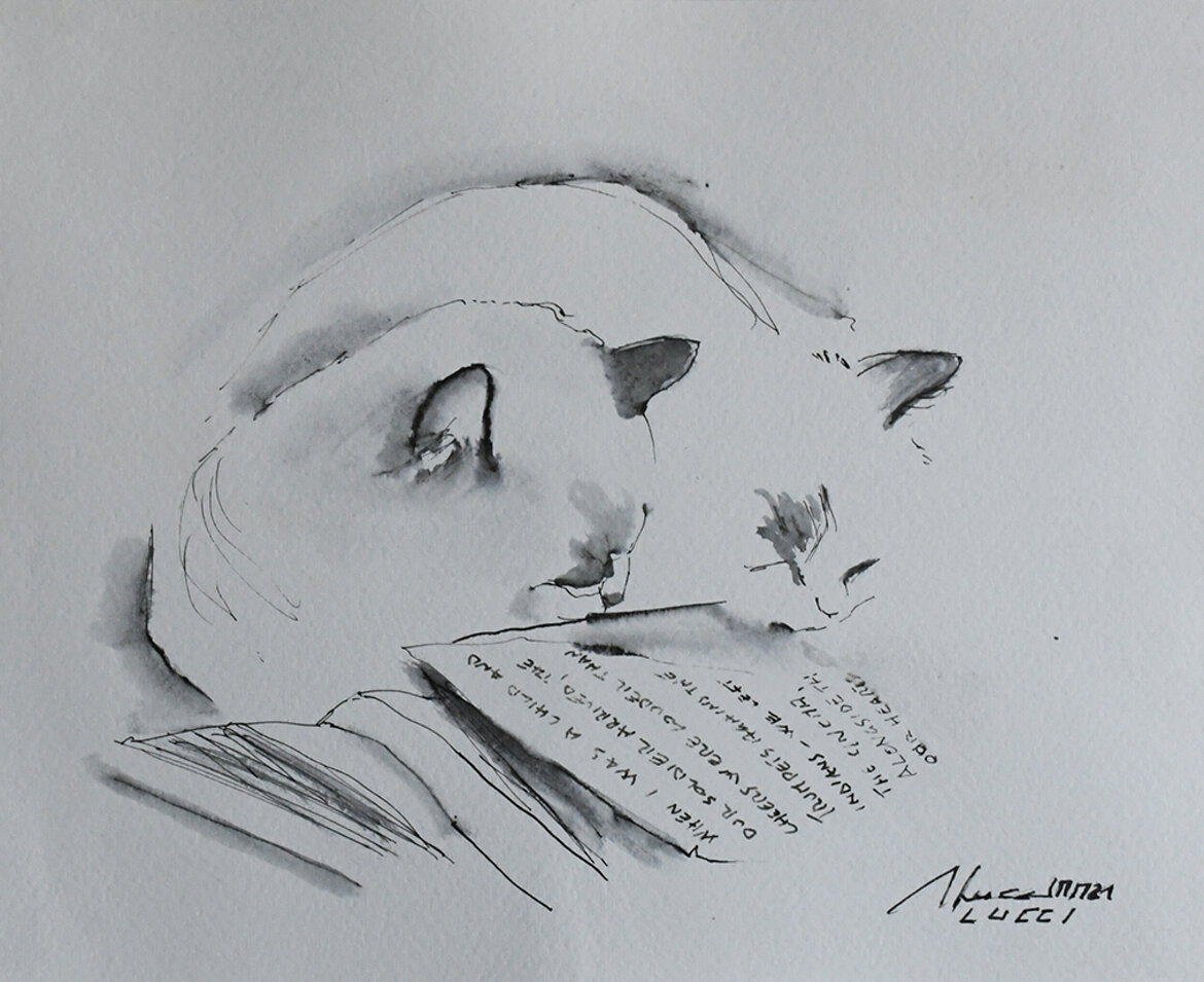 204. gatti poeti, 2021 penna (20,9 x 25,6 cm).jpeg