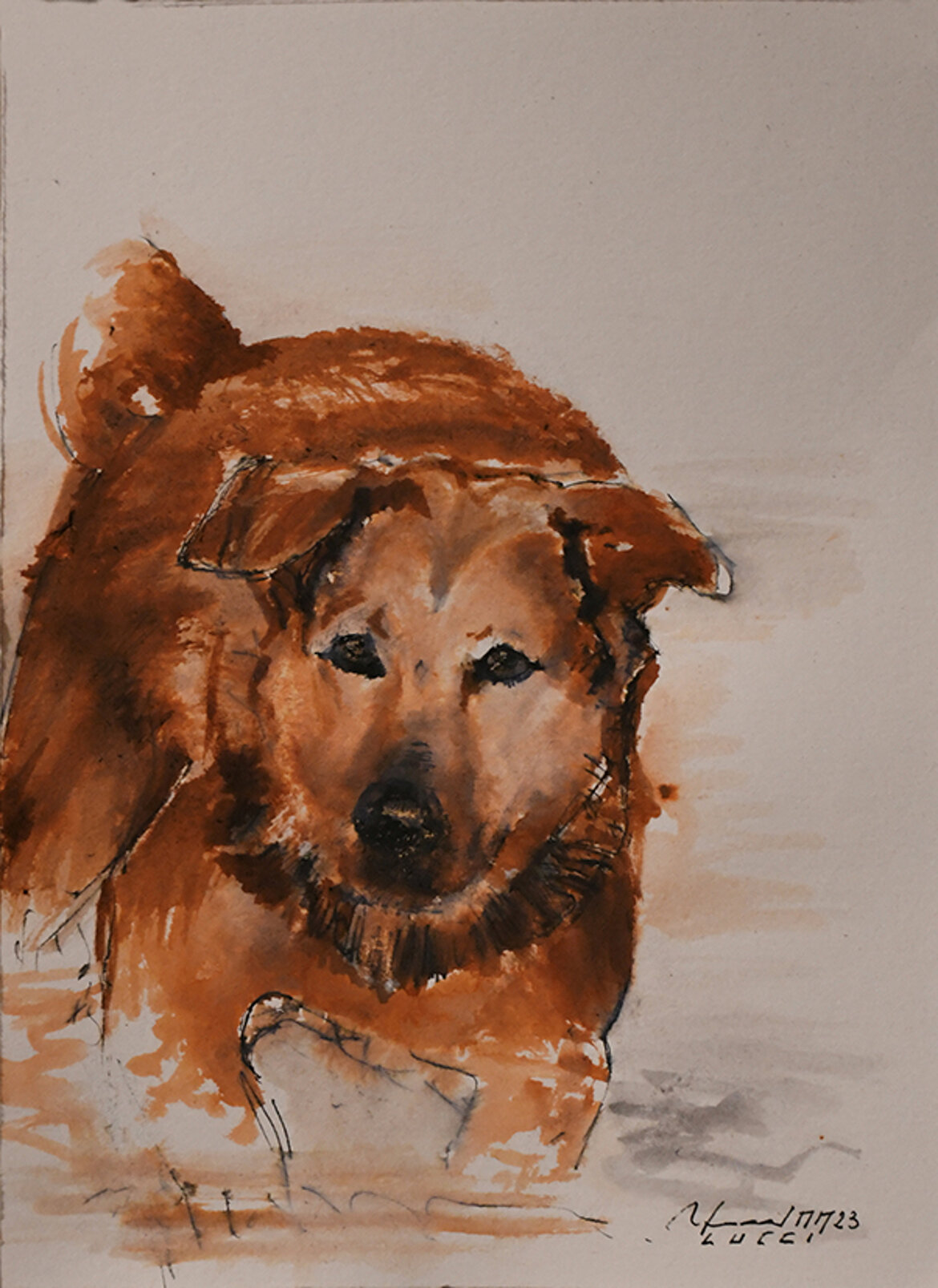 317.stella massimo, 2023 penna e acquarello su carta (35 x 25 cm).jpeg