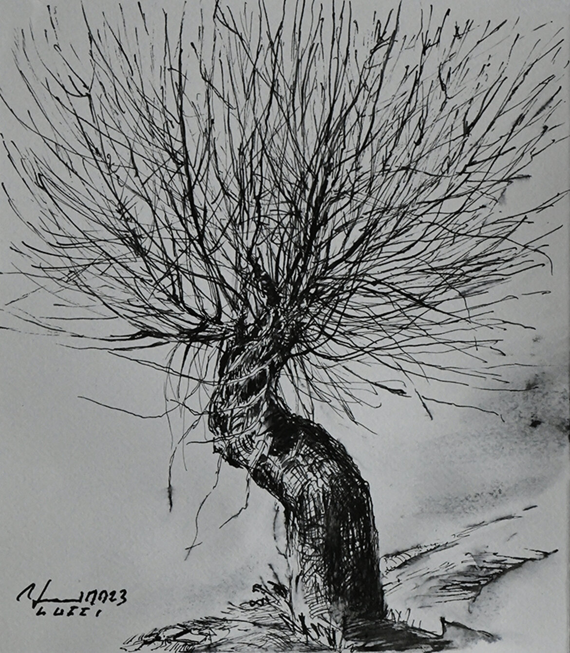 310. . gelso, 2023 penna su carta (25,2 x 22 cm).jpeg