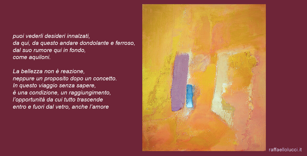 14. il racconto dei campi.jpeg