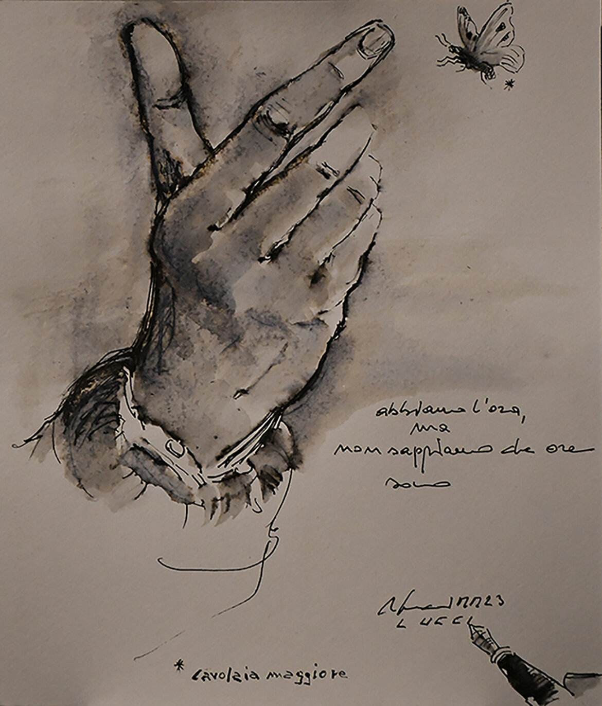 308. cavolaia maggiore, 2023.jpeg