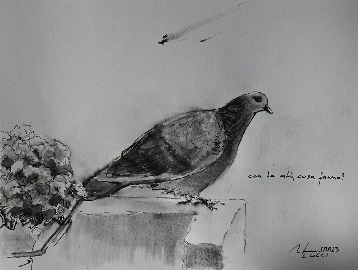 309. con le ali, cosa fanno, 2023 penna su carta (22 x 28,5 cm).jpeg