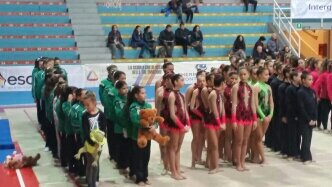 68cb475f-3575-445a-ad4f-55bfd0f3be2d 68cb475f-3575-445a-ad4f-55bfd0f3be2d