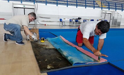 315d7f32-536e-40df-ae54-a4ad5f97379c 315d7f32-536e-40df-ae54-a4ad5f97379c