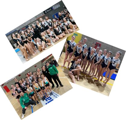 b5a501d9-1886-4a69-bd7d-f5fa6501e0ba