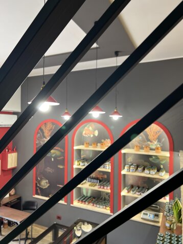 20e3344e-858f-4819-ac1c-b9d92131f8dc.jpeg 20e3344e-858f-4819-ac1c-b9d92131f8dc.jpeg