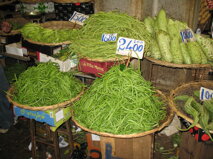 8f8f4440-503b-4152-9521-08321c6dbe58