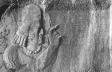 51ba61b5-6140-4bb3-b605-f5f5a6fdcc6c