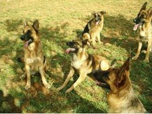 f440098d-4039-48bb-ad57-a8db65c7b546