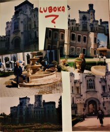 24c730db-7690-46b9-a8d8-d2f7bd98472c 24c730db-7690-46b9-a8d8-d2f7bd98472c