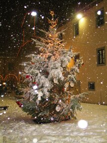 698aff02-ff72-4224-9f5f-b4f466c97013