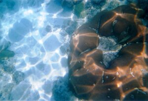0f1b0657-4d9d-4bed-b274-92cbb9f90ad1