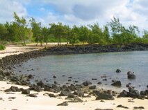 4fa6e328-27ea-4918-8941-186268beec64