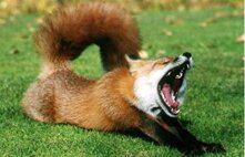 ea6bd4f7-42fc-4489-a718-ebe0a45393c2