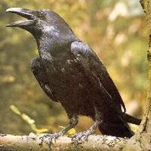 daf86097-9c14-47aa-abb7-44217b2169bc