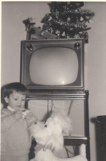 83432717-f647-498c-8e1f-c4b8b95284e2