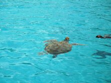 e3f68b0c-7c5d-477c-85c1-6874dabfdd6e