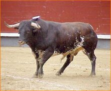 7c326516-17fb-45fb-a9ba-eb49fc302ca4